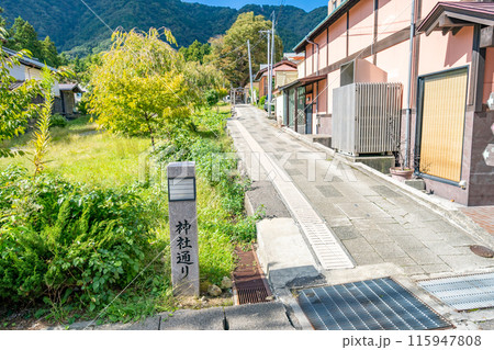 彌彦神社末社　住吉神社大欅　蛸欅　弥彦の蛸ケヤキ　大蛸が八本足を広げている様子に良く似ている 115947808