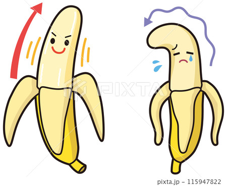 男性器をイメージしたバナナ 元気なバナナと萎れたバナナ 男性器をイメージしたバナナ 元気なバナナと萎れたバナナ 115947822