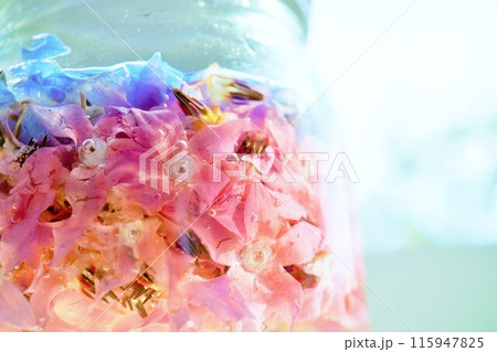 白背景に発酵し下から青からピンクに変色し始めたボリジの天然の手づくり花酵母液のアップ 白背景に発酵し下から青からピンクに変色し始めたボリジの天然の手づくり花酵母液のアップ 115947825