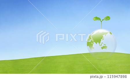 草原と地球に若葉のバナー背景。環境保護やエコのイメージ 115947898
