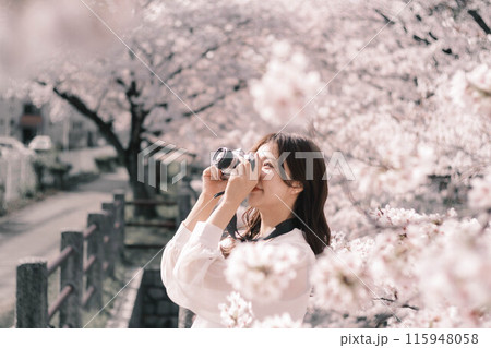 桜を見ながら楽しんでいる女性 115948058