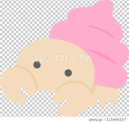 Pink hermit crab illustration material 115948157