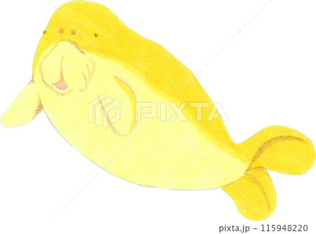 ジュゴンの手描き風イラスト 115948220