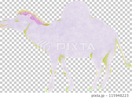 Camel hand-drawn illustration 115948223