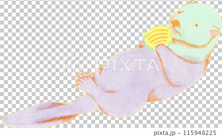 Hand-drawn illustration of a sea otter 115948225