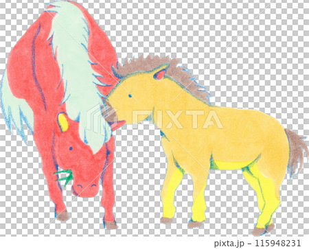 一匹馬的手繪風格插圖 115948231