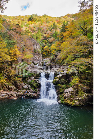 三段滝の紅葉 三段滝の紅葉 115948465