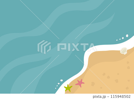 貝殻とヒトデのある海と砂浜 115948502