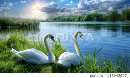 Tranquil Elegance: Swans on the Lake. Generative AI	 115948697