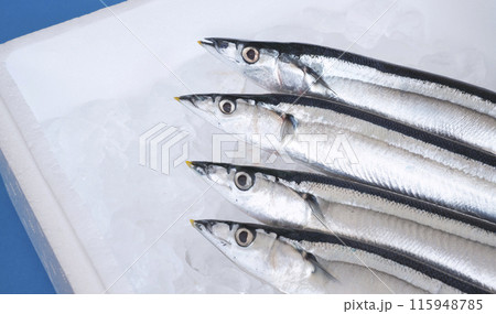 発泡スチロールの箱の氷の上にある秋刀魚 発泡スチロールの箱の氷の上にある秋刀魚 115948785