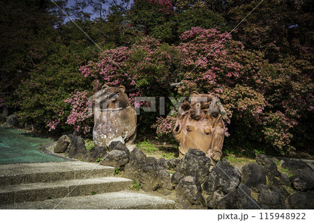 館林市つつじが岡公園　正面広場のたぬき 115948922