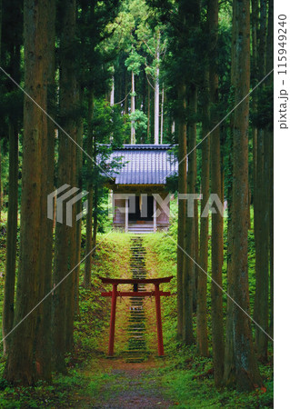 山形:緑に包まれた小野曽神社 115949240