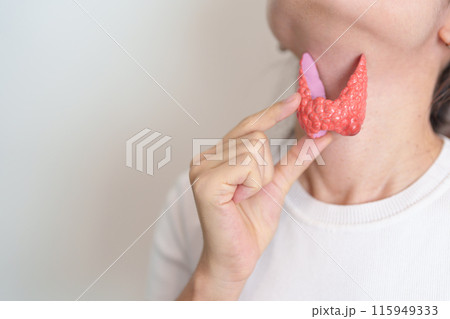 Woman holding human Thyroid anatomy model with her Neck. Hyperthyroidism, Hypothyroidism, Hashimoto Thyroiditis, Thyroid Tumor and Cancer, Postpartum, Papillary Carcinoma and Health concept 115949333