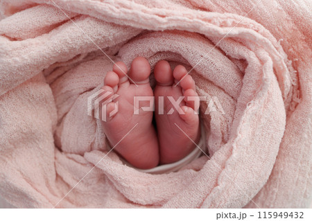 Close-up of tiny, cute, bare toes, heels and feet of a newborn girl, boy. Baby foot on pink soft coverlet, blanket. Detail of a newborn baby legs. Macro horizontal professional studio photo.  115949432