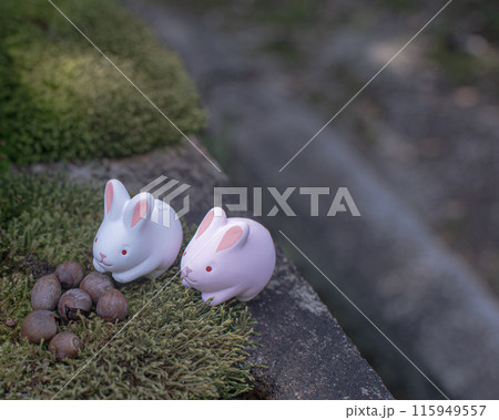かわいいうさぎたち かわいいうさぎたち 115949557