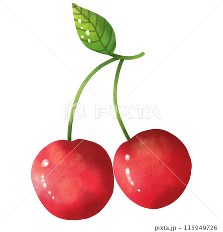 Watercolor paintings of cherries are used as decorative illustrations. 115949726