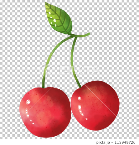 Watercolor paintings of cherries are used as decorative illustrations. 115949726
