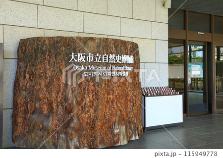 大阪市立自然史博物館 115949778