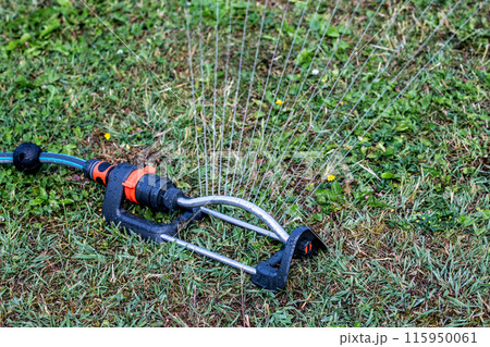 Water sprinkler for watering the garden and lawn 115950061