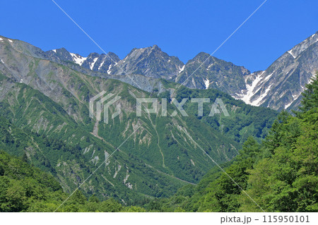初夏の北アルプス後立山連峰 不帰ノ嶮 初夏の北アルプス後立山連峰 不帰ノ嶮 115950101