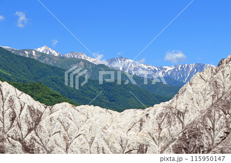 白馬村 山麓から望む初夏の白馬三山 白馬村 山麓から望む初夏の白馬三山 115950147