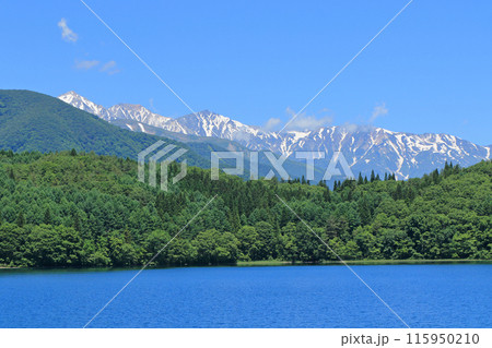 初夏の青木湖と白馬三山 初夏の青木湖と白馬三山 115950210