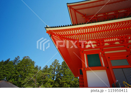 世界遺産高野山の壇上伽藍の根本大塔の情景 世界遺産高野山の壇上伽藍の根本大塔の情景 115950411