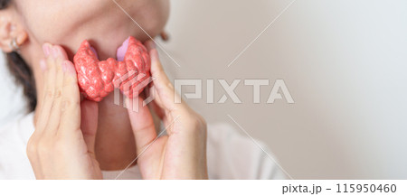 Woman holding human Thyroid anatomy model with her Neck. Hyperthyroidism, Hypothyroidism, Hashimoto Thyroiditis, Thyroid Tumor and Cancer, Postpartum, Papillary Carcinoma and Health concept 115950460