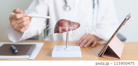 Doctor with human Liver model and tablet. Liver cancer and Tumor, Jaundice, Viral Hepatitis A, B, C, D, E, Cirrhosis, Failure, Enlarged, Hepatic Encephalopathy, Ascites Fluid in Belly and health Doctor with human Liver model and tablet. Liver cancer and Tumor, Jaundice, Viral Hepatitis A, B, C, D, E, Cirrhosis, Failure, Enlarged, Hepatic Encephalopathy, Ascites Fluid in Belly and health 115950475