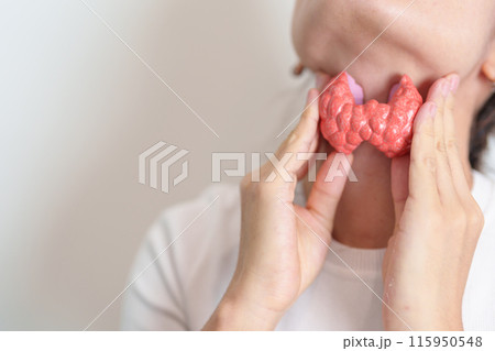 Woman holding human Thyroid anatomy model with her Neck. Hyperthyroidism, Hypothyroidism, Hashimoto Thyroiditis, Thyroid Tumor and Cancer, Postpartum, Papillary Carcinoma and Health concept Woman holding human Thyroid anatomy model with her Neck. Hyperthyroidism, Hypothyroidism, Hashimoto Thyroiditis, Thyroid Tumor and Cancer, Postpartum, Papillary Carcinoma and Health concept 115950548