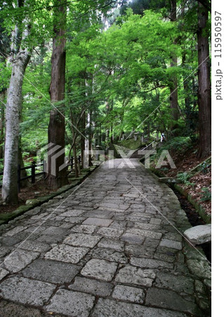 参道・石段・立石寺（山形県・山形市） 115950597