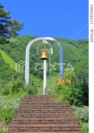 白馬五竜スキー場 初夏のエスカルガーデン 白馬五竜スキー場 初夏のエスカルガーデン 115950664