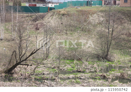 Early spring landscape with a small wild river, bare trees, reflections in the water, dry grass Early spring landscape with a small wild river, bare trees, reflections in the water, dry grass 115950742