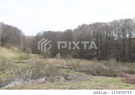 Early spring landscape with a small wild river, bare trees, reflections in the water, dry grass Early spring landscape with a small wild river, bare trees, reflections in the water, dry grass 115950743