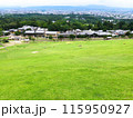 奈良県 若草山からの絶景 115950927
