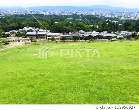 奈良県 若草山からの絶景 115950927
