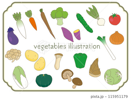 色々な野菜のイラストセット 115951179