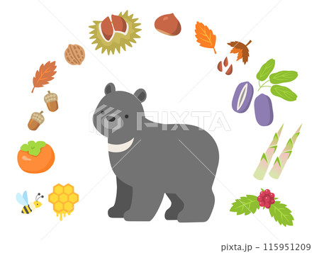ツキノワグマと食べ物のイラスト 115951209