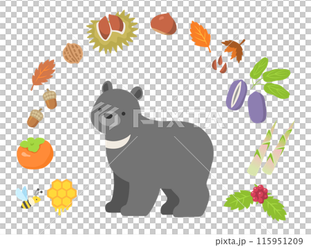 ツキノワグマと食べ物のイラスト 115951209