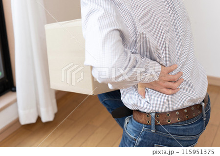 腰を痛める男性　腰痛　ぎっくり腰 115951375