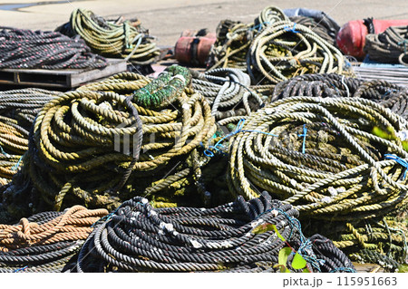 漁具　ロープ　氷見漁港 115951663