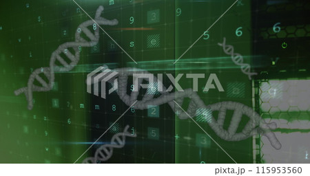 Image of data processing and dna strands spinning Image of data processing and dna strands spinning 115953560