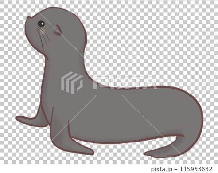 可愛的海獅圖 115953632