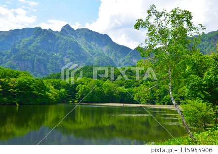 初夏 信州 鏡池 初夏 信州 鏡池 115955906