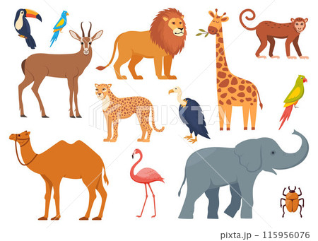 African animals and birds, set of characters. Elephant, giraffe, camel, cheetah, lion, flamingo, toucan, parrot, vulture, monkey. Wildlife animal of Africa, exotic safari travel. Vector. African animals and birds, set of characters. Elephant, giraffe, camel, cheetah, lion, flamingo, toucan, parrot, vulture, monkey. Wildlife animal of Africa, exotic safari travel. Vector. 115956076