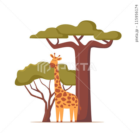 Giraffe in natural habitat. African savannah scenery with giraffe between trees. Vector. Giraffe in natural habitat. African savannah scenery with giraffe between trees. Vector. 115956174