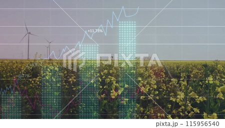 Image of diagrams and data processing over field with wind turbines Image of diagrams and data processing over field with wind turbines 115956540
