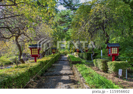 埼玉県 長瀞町 撫子の寺 長瀞山五大院 不動寺 埼玉県 長瀞町 撫子の寺 長瀞山五大院 不動寺 115956602