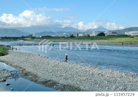 あゆ釣りで賑わう夏の酒匂川 あゆ釣りで賑わう夏の酒匂川 115957229