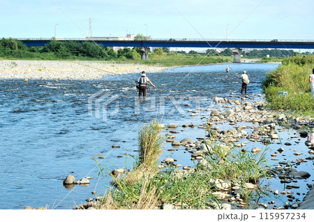あゆ釣りで賑わう夏の酒匂川 115957234